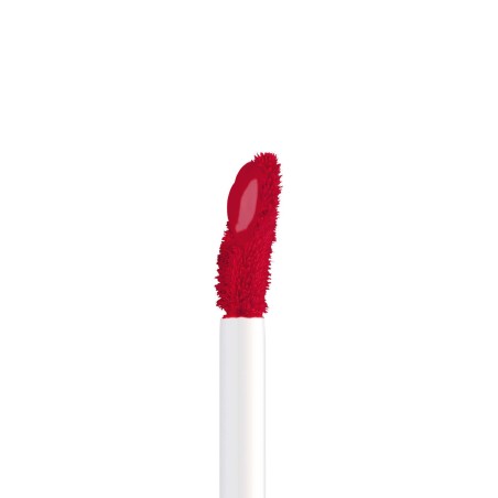Lip Mat " Passion "N°42