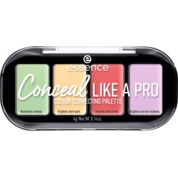 Palette Correcting " Like A Pro "
