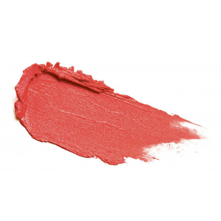 Rouge à lèvres "Perfect Mat" 113