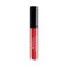 Lip Gloss " Plumping " 43