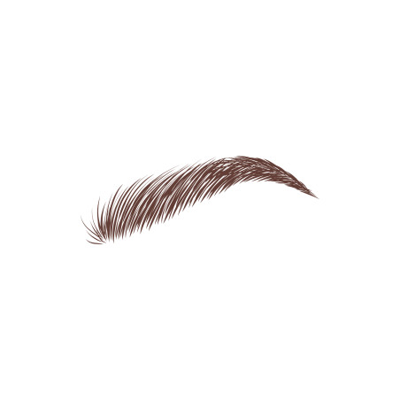 Kit Color Sourcils " Dark Brown "