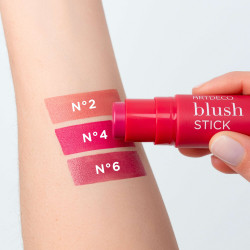 Blush Stik N°2