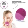 Brosse Cosmétique Visage IFC47