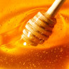Soin Lèvres au Miel "Rêve de Miel" 10 ml