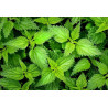 Masque Cheveux "Effet Volume" 500GR