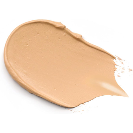 Fond De Teint " Stick Foundation " N°100