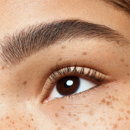 Duo Sourcils " Brow Powder Set " 02 - Medium