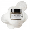 Masque Concentré Professionnel "Absolut Repair Molecular" 250ML