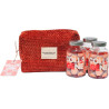 Trousse gummies Collagène "Anti-Âge" les essentiels labs