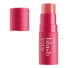 Blush Stik N°5
