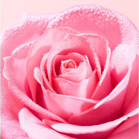 Lait Démaquillant Onctueux "Very Rose" 200ml