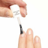 Top Coat " All In One Nail Lacquer "