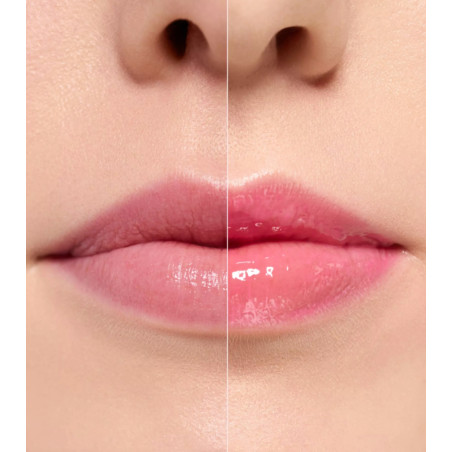 Plumping Lip Gloss " What The Fake ! " N°102