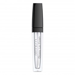 Lip Glossy Finish
